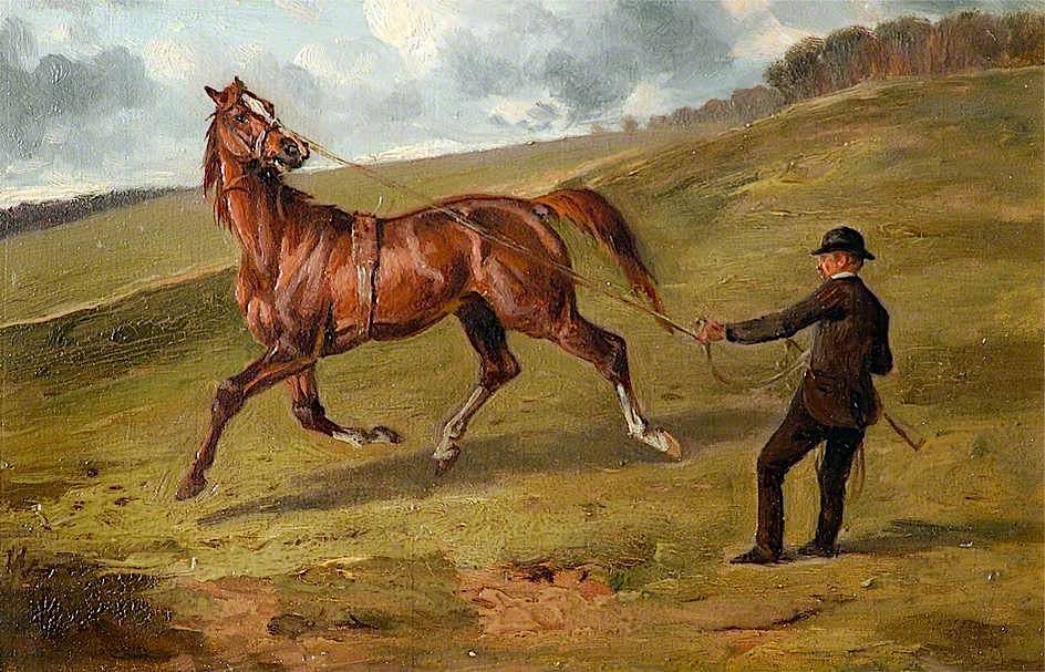 'The Life of a Thoroughbred' by Alfred Wheeler